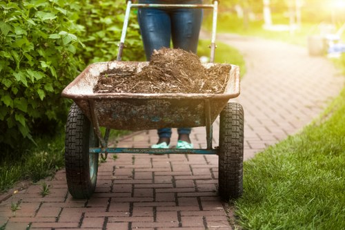Modern waste removal technologies in Peckham