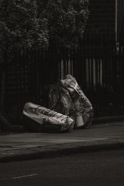 A pile of discarded cardboard boxes, some flattened and others partially intact, are scattered on the ground near a rough concrete wall and a brick structure, with a large tree trunk visible on the le